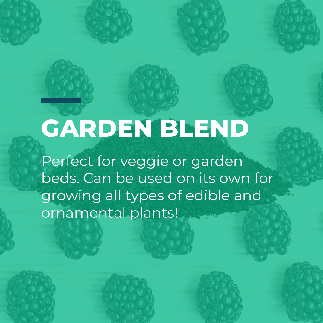 Organic Garden Blend