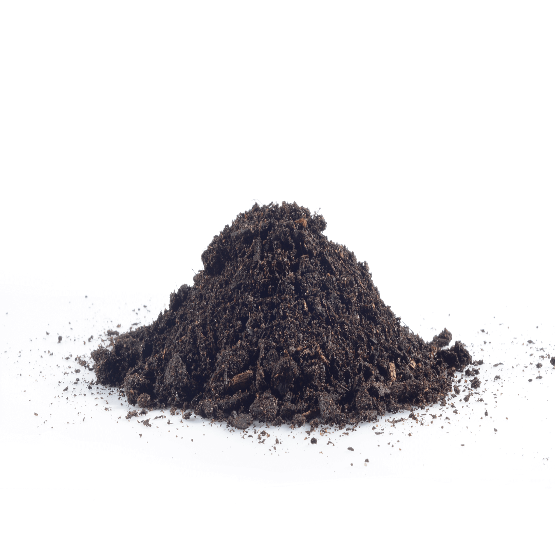Commercial Turf Blend