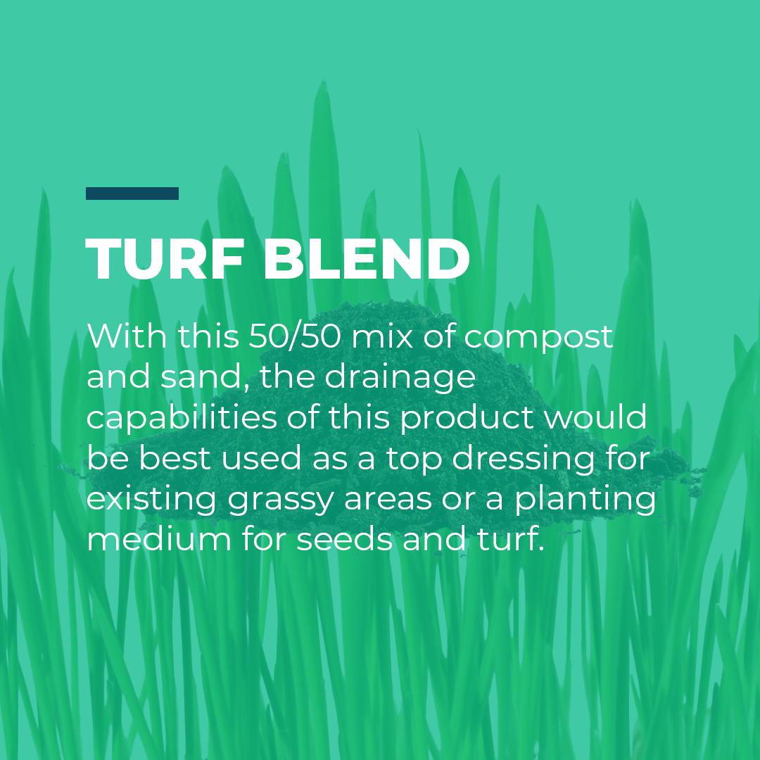 Commercial Turf Blend